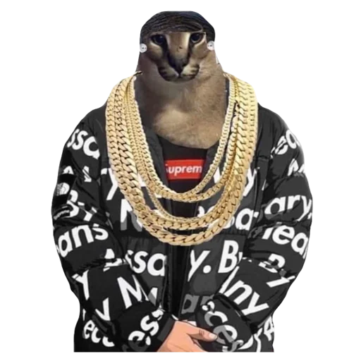 модный аксессуар ожерелье одежда