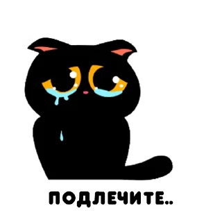 Sticker BIGKITTYLABS - 1