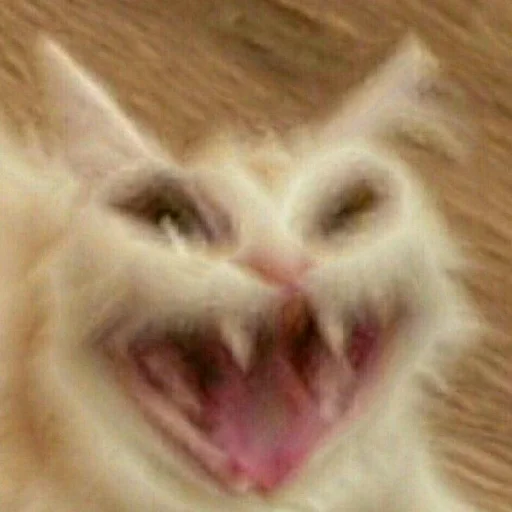 Sticker для тебе підарок👺 - 7