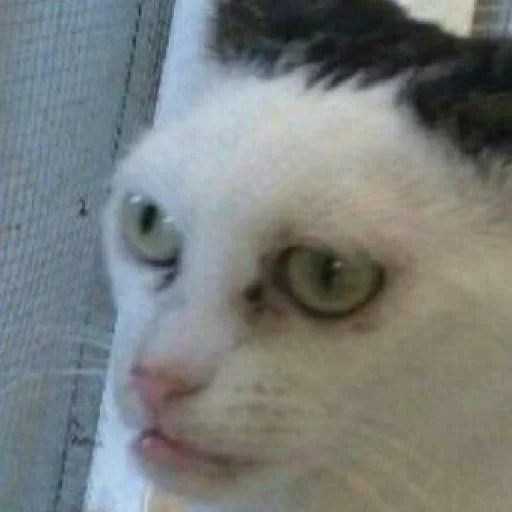 Sticker для тебе підарок👺 - 6