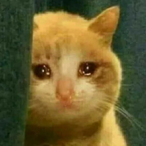 Sticker для тебе підарок👺 - 4