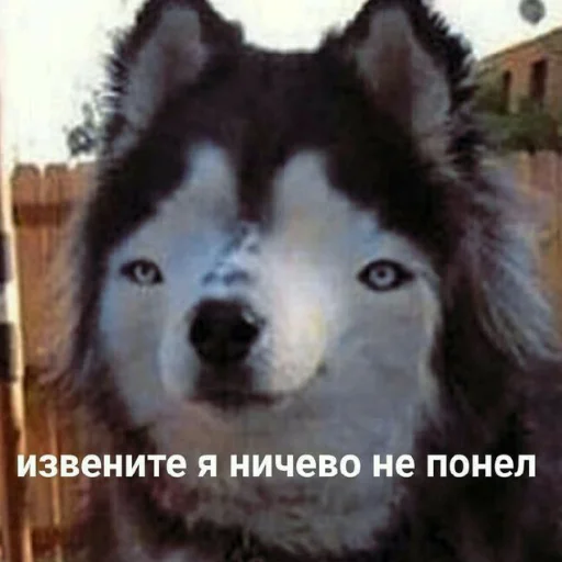 Sticker для тебе підарок👺 - 0