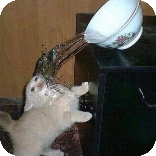 Sticker Bilder_1 - 1