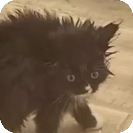 Sticker Bilder_1 - 1