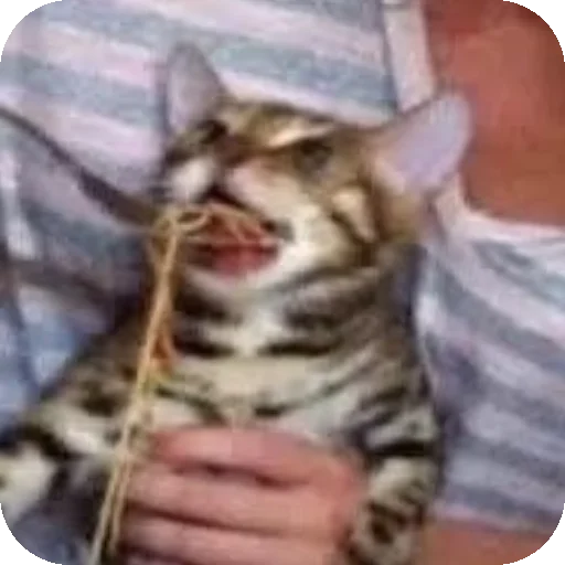 Sticker Bilder_1 - 1