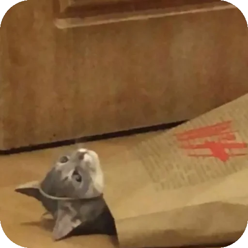 Sticker Bilder_1 - 1