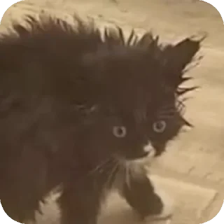 Sticker Не воруем. @LoveGame_19 - 5