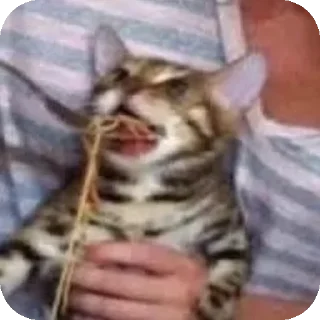 Sticker Не воруем. @LoveGame_19 - 4