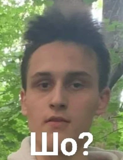 Sticker Bilonizhka - 1