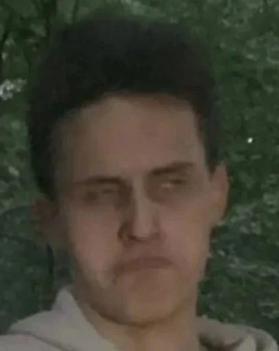 Sticker Bilonizhka - 1