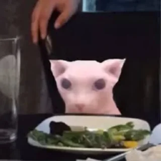 Стикер Bingus - 1