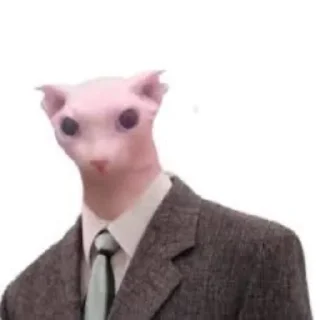 Стикер Bingus - 7