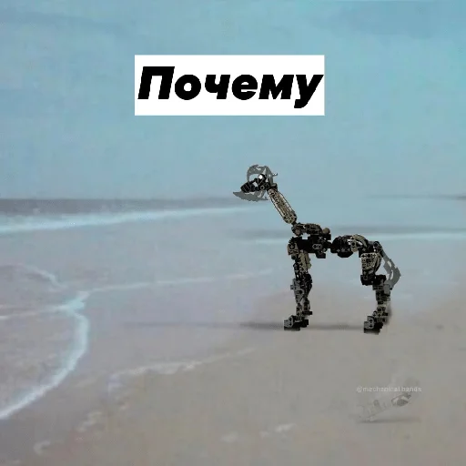 Sticker Bio_nicle - 1