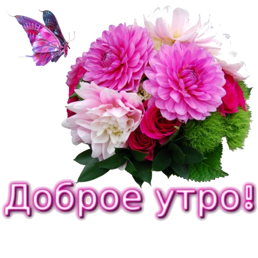 Стикер Biosea Диана Мансурова - 10