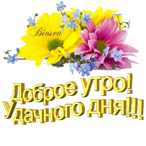 Стикер Biosea Диана Мансурова - 9