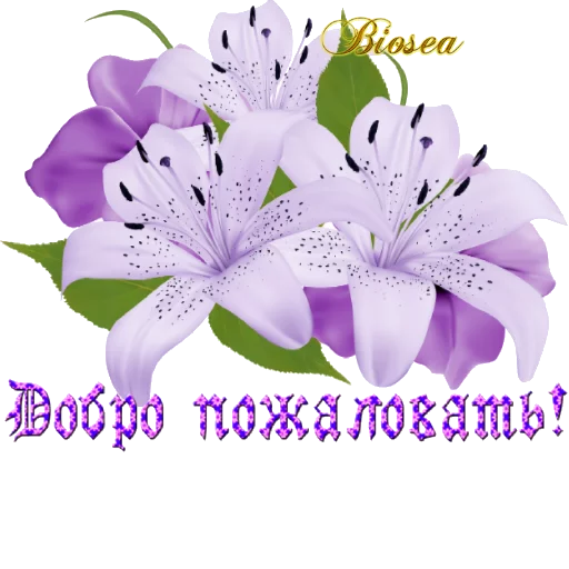 Стикер Biosea Диана Мансурова - 3