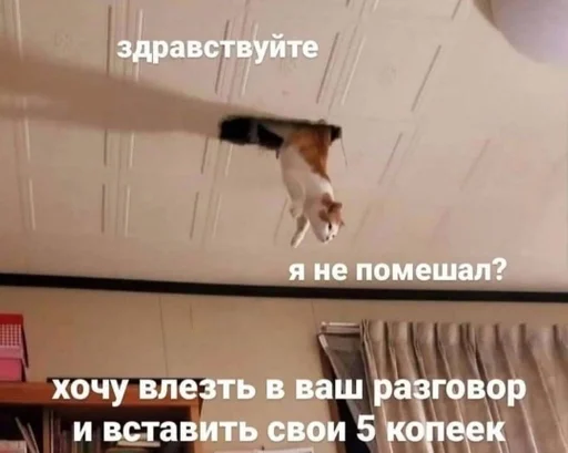 text screenshot indoor