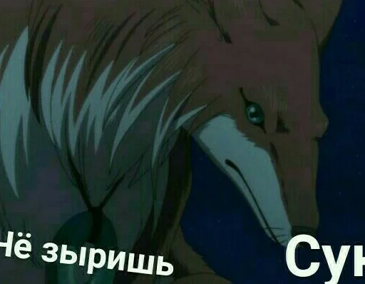 Бизаррные Стики ашада - 