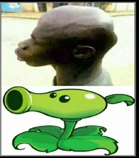 Стикер Больше стиков тут: @stikery4 - 1