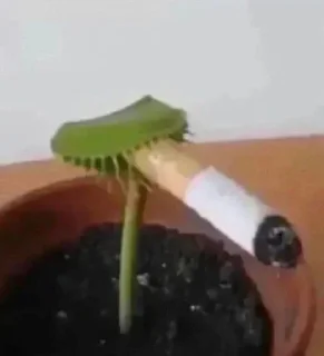 Стикер Больше стиков тут: @stikery4 - 5