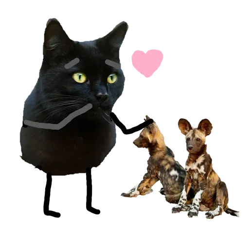 домашняя кошка кошки малого и среднего размера кошка