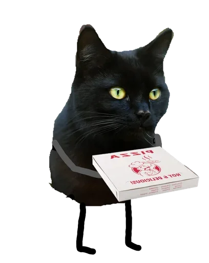 СМС животное кошки малого и среднего размера