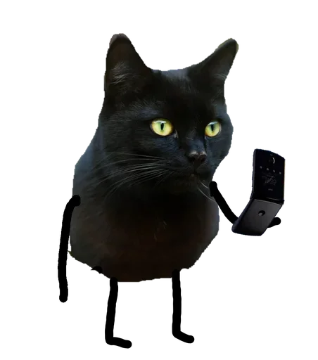 кошки малого и среднего размера кошачьи усы