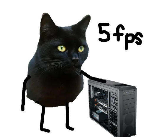 кошка кошки малого и среднего размера кошачьи