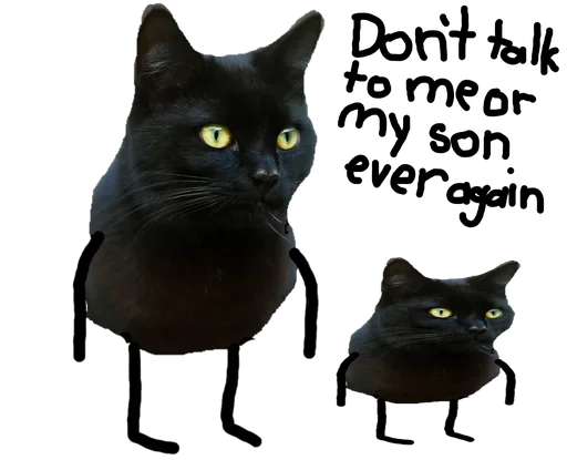 домашняя кошка кошки малого и среднего размера кошка