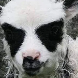 Стикер Black metal - 3