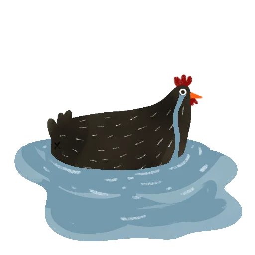 Sticker Black_chicken_rsvt - 1