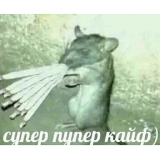 Стикер Пиздец наркомания ебаная - 11