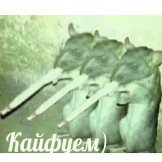 Стикер Пиздец наркомания ебаная - 9