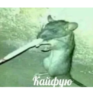 Стикер Пиздец наркомания ебаная - 2