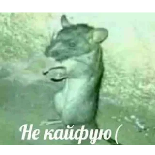 Стикер Пиздец наркомания ебаная - 8