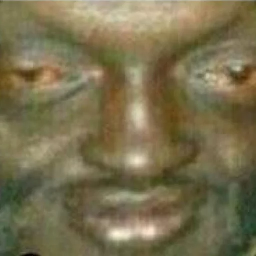 primate forehead animal