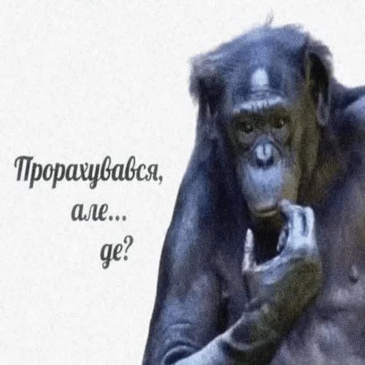 Sticker BlessedS - 1