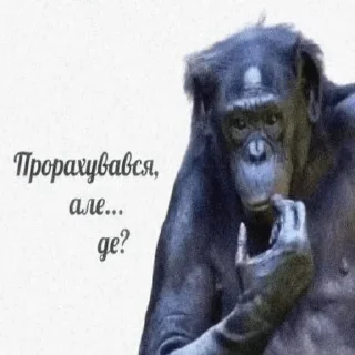 Стикер GBTS - 2