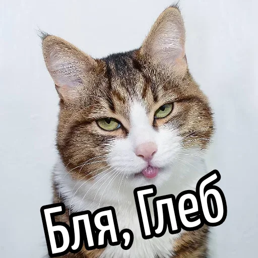 Sticker BliatStickers - 1