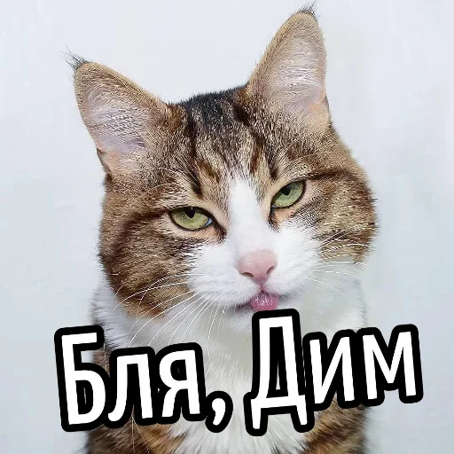 Sticker BliatStickers - 1