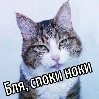 Стикер Ouch @stickersb2b - 6