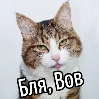 Стикер Ouch @stickersb2b - 11