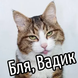 Стикер Ouch @stickersb2b - 10