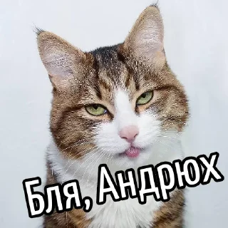 Стикер Ouch @stickersb2b - 7