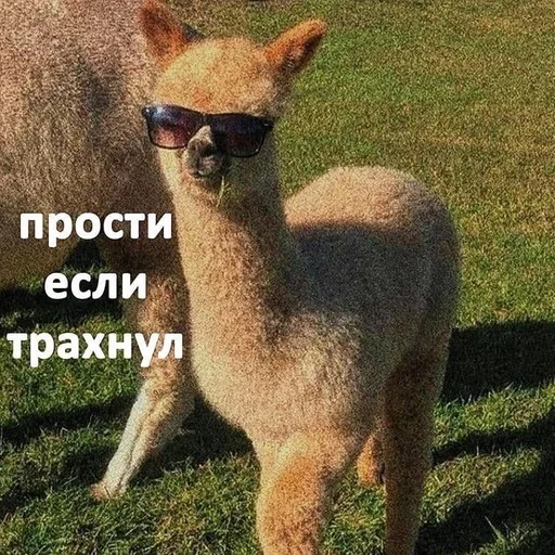 Sticker Blin_Blinskij_by_fStikBot - 1