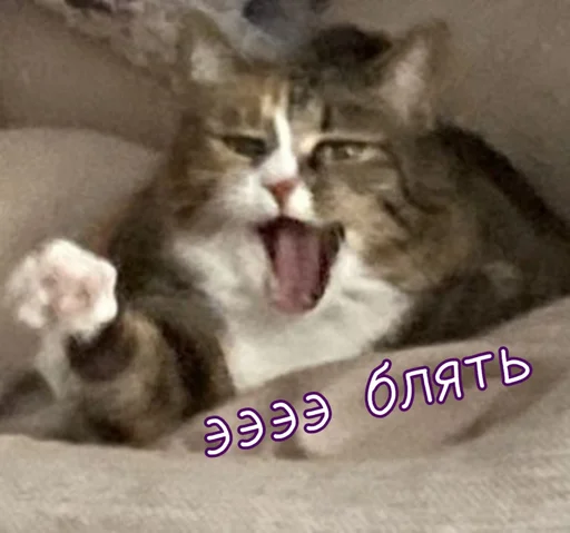 Тю блин: Зверюшки by @blin1001 - 