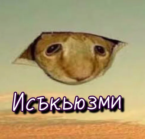 Sticker Blinzver - 1