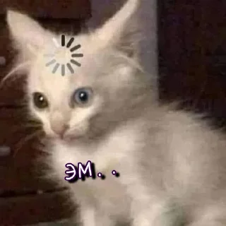 Sticker Тю блин: Зверюшки by @blin1001 - 2