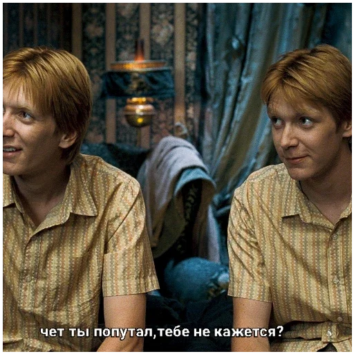 Стикер Близнецы уизли 🍂 - 9