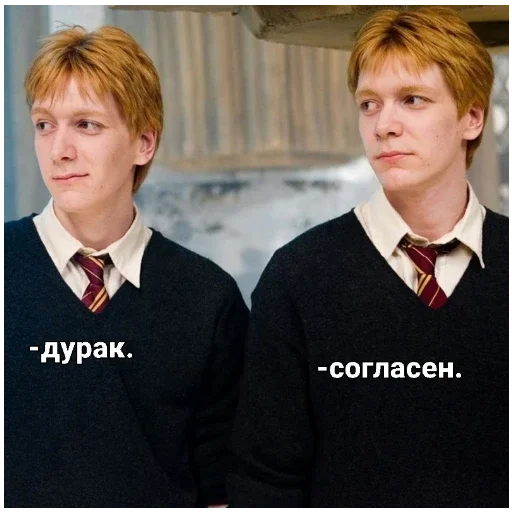 Стикер Близнецы уизли 🍂 - 1